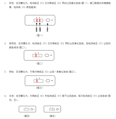 犬細(xì)小病毒抗原膠體金快速檢測卡